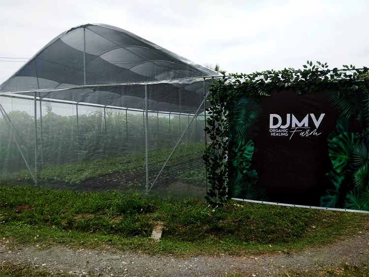 DJMV Farm