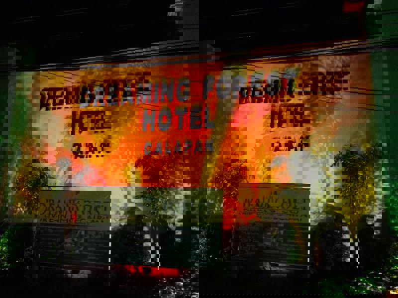 Dreaming Forest Hotel