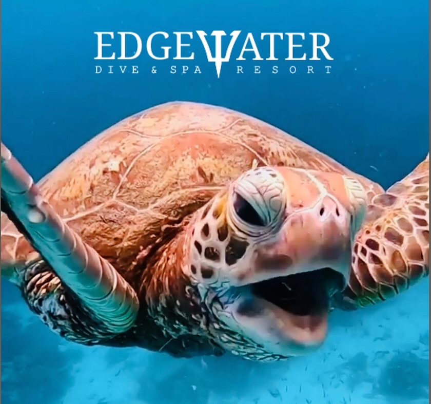 EDGEWATER DIVE & SPA RESORT