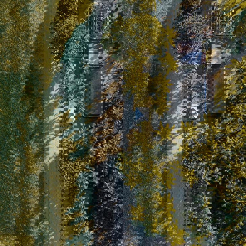 El Dionisio Beach Resort