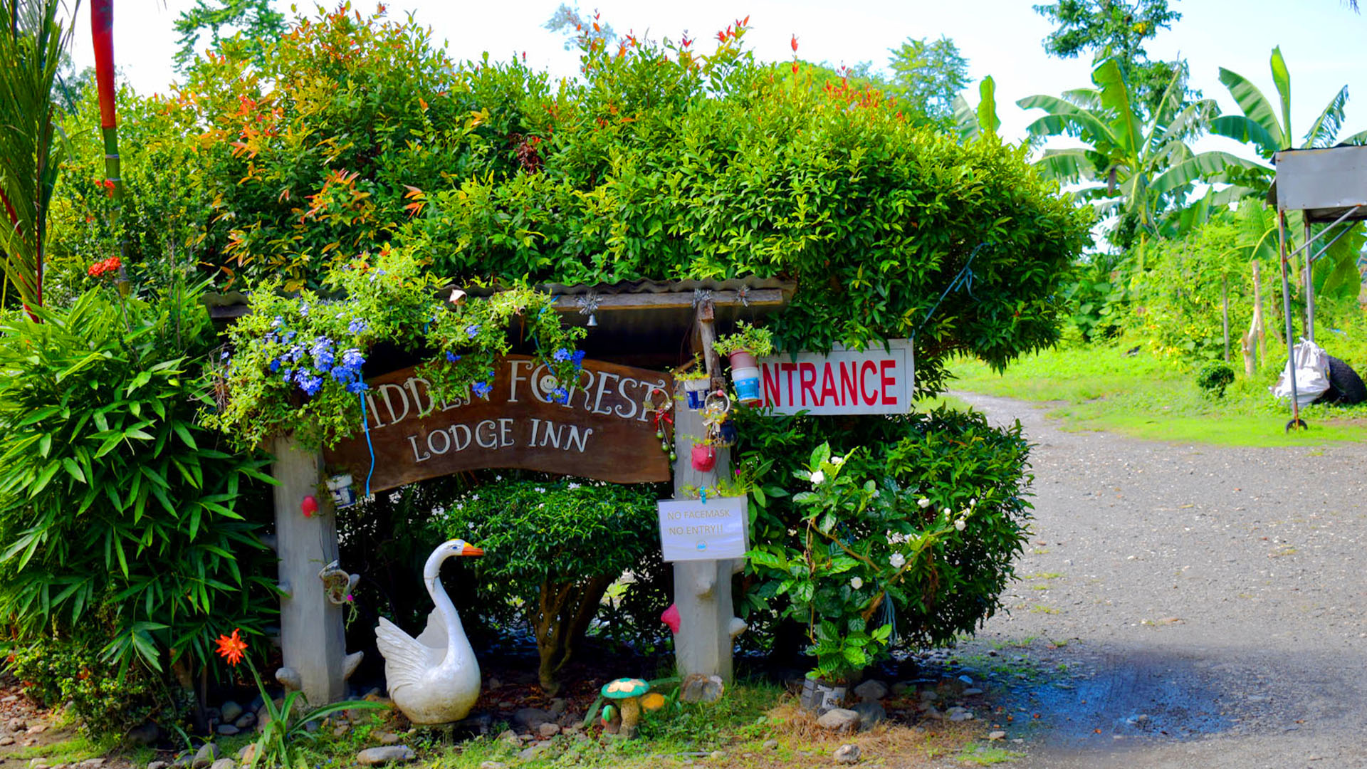 Hiddenforest Lodge Inn