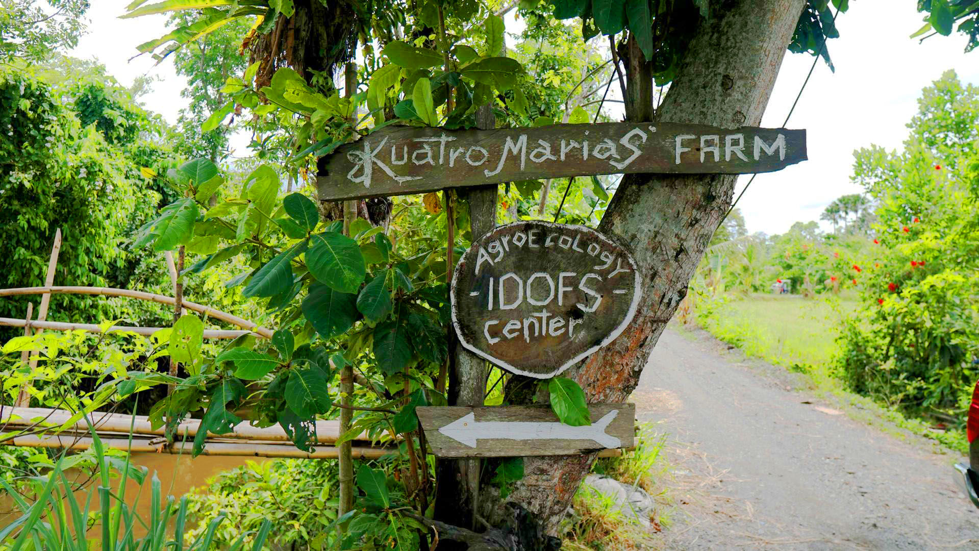 Kuatro Maria's Agroecology Farm