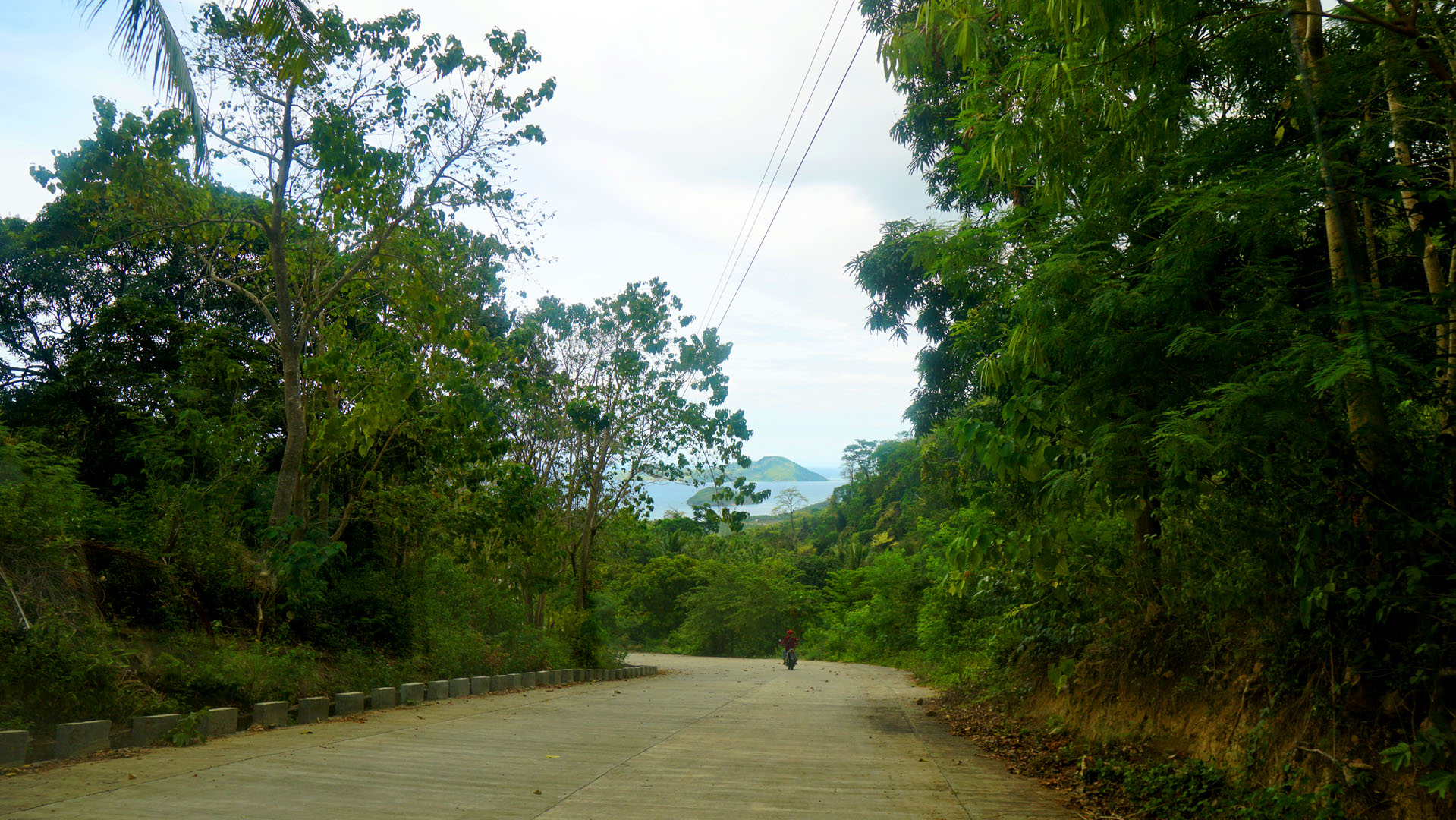 Mt. Abenlay Eco Tour Monkey Trail
