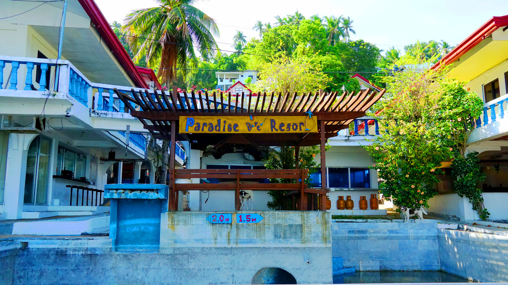 Paradise Dive Zone Resort Corporation