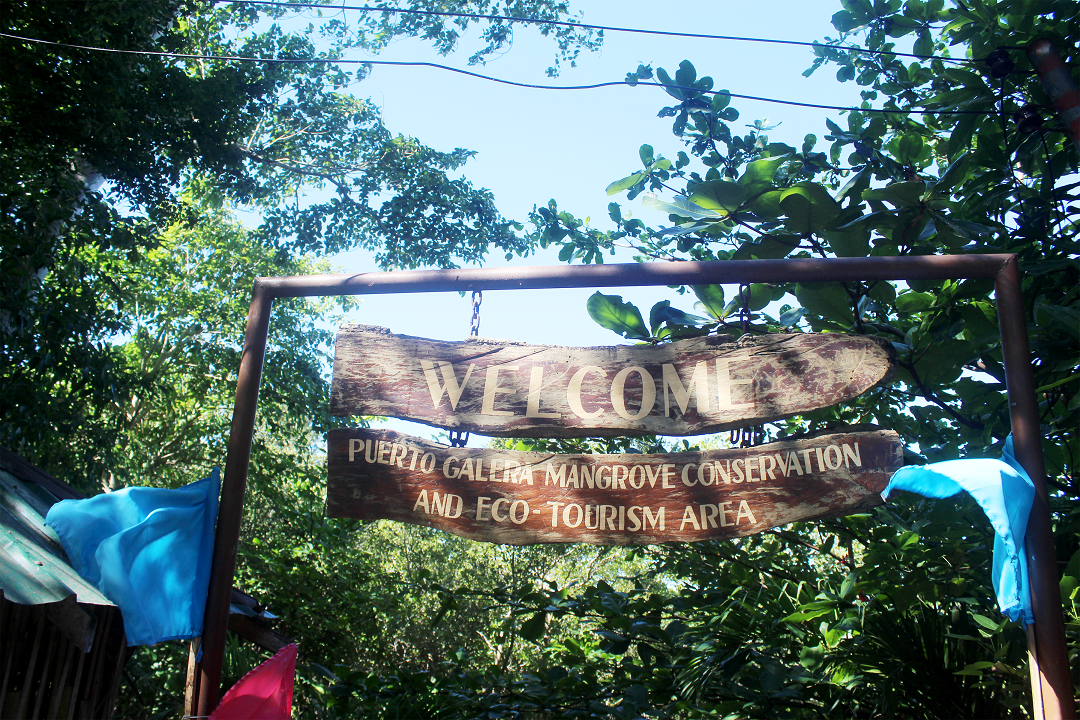 Puerto Galera Mangrove Conservation and Eco-Tourism Area