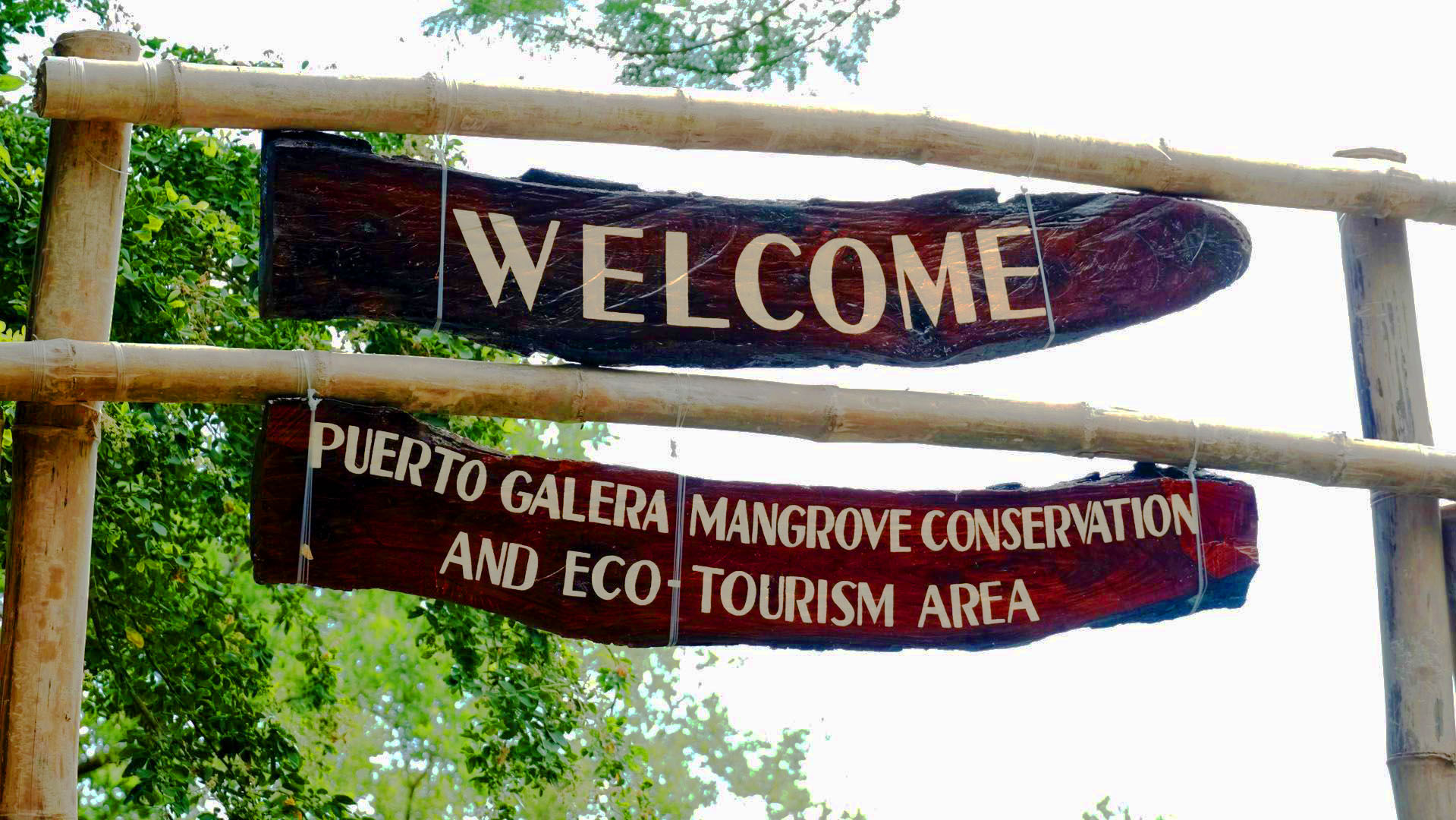 Puerto Mangrove Conservation and Eco Tourism Area
