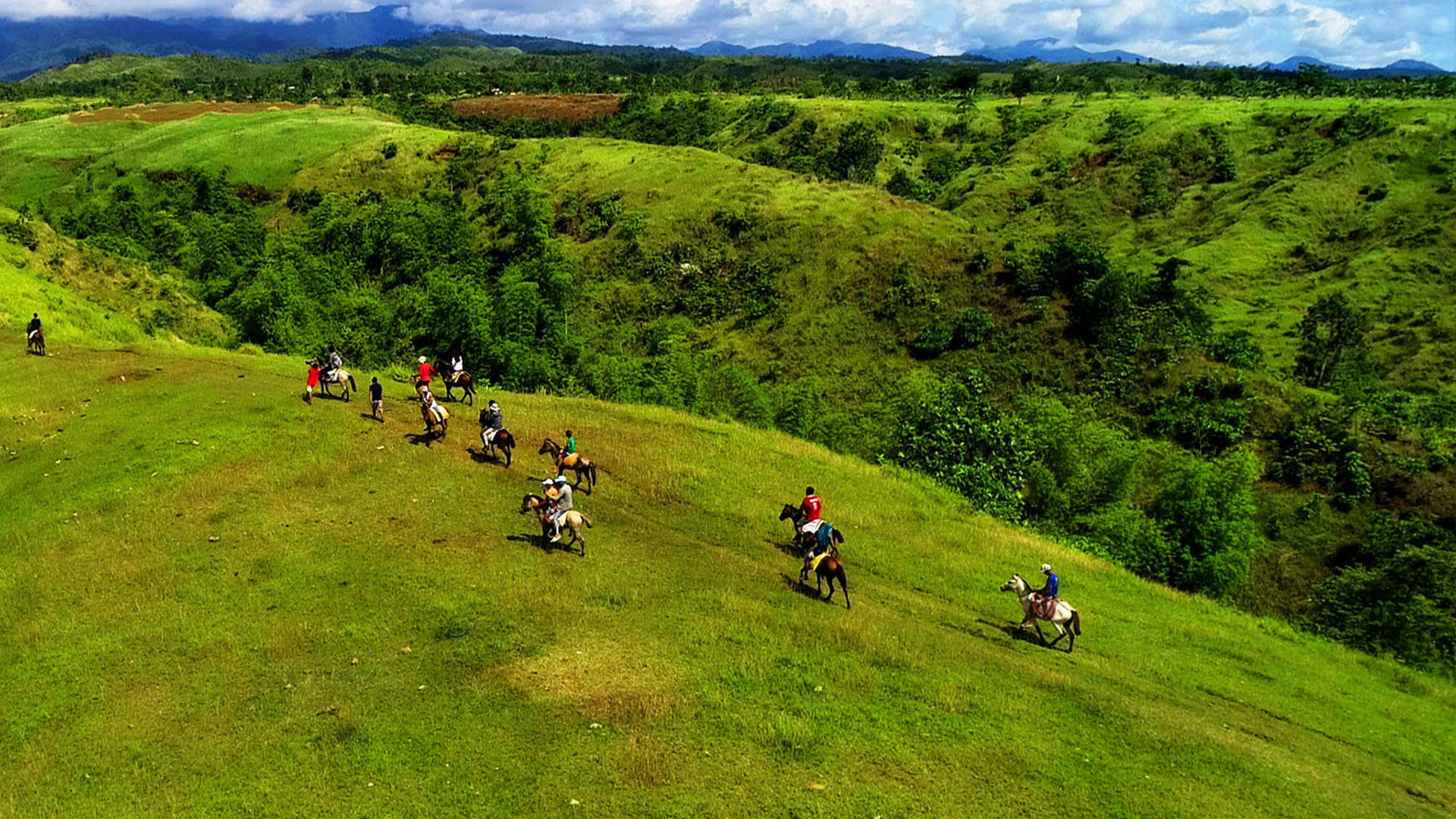 Rosacara Rolling Hills