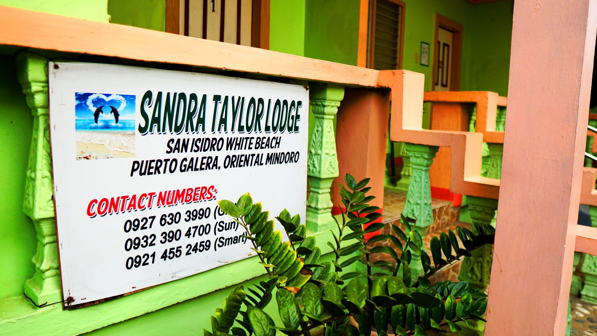 Sandra Taylor Lodge