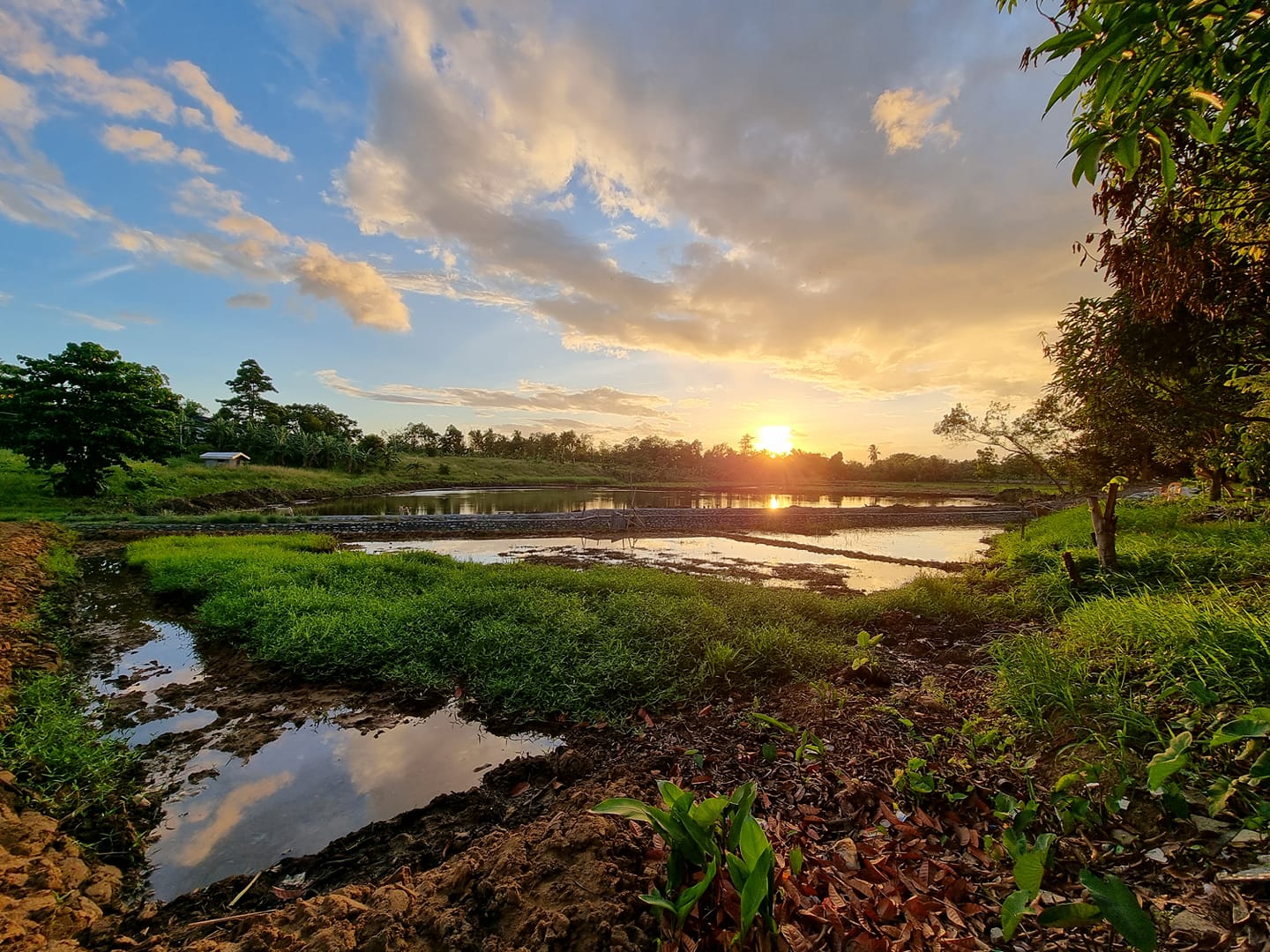 Willandaise Agri-Farm Corporation